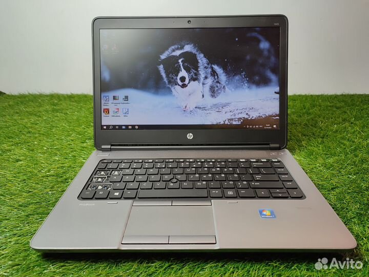 Ноутбук HP probook 645 A10/12gb/ssd256gb/hd14