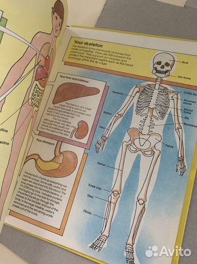 Энциклопедия для детей на английском языке