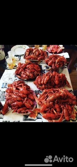 Живые раки