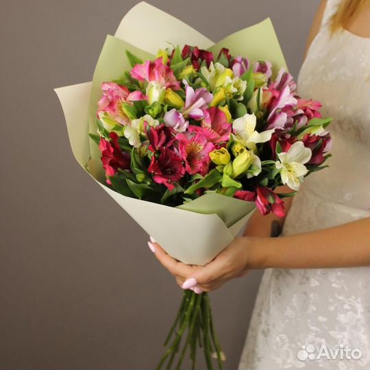 Альстромерия Альстромерии С Доставкой