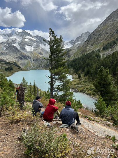 Туры на Алтай 2024 год