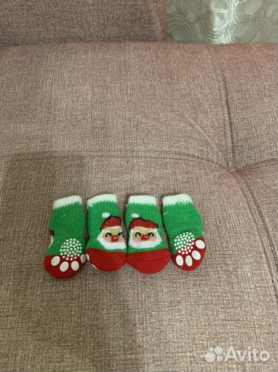 Одежда для собак