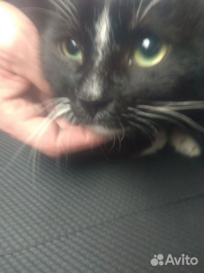 Полностью здоров ждёт Вас