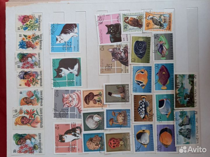 Почтовые марки (Флора-фауна)