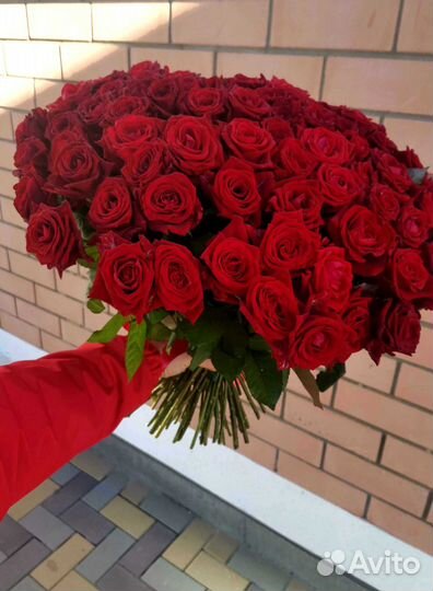 Букет роз. Розы 101 шт