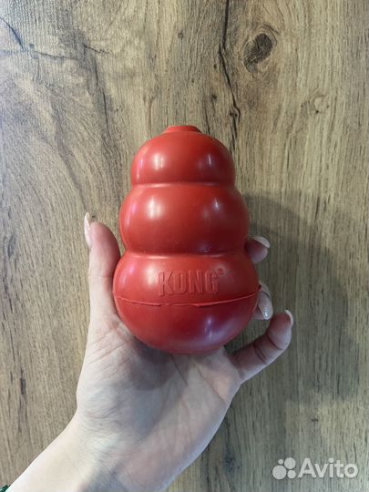 Игрушки для собак, спрей, комбинезон