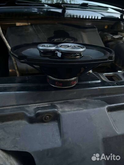 Динамики Kicx (овалы)