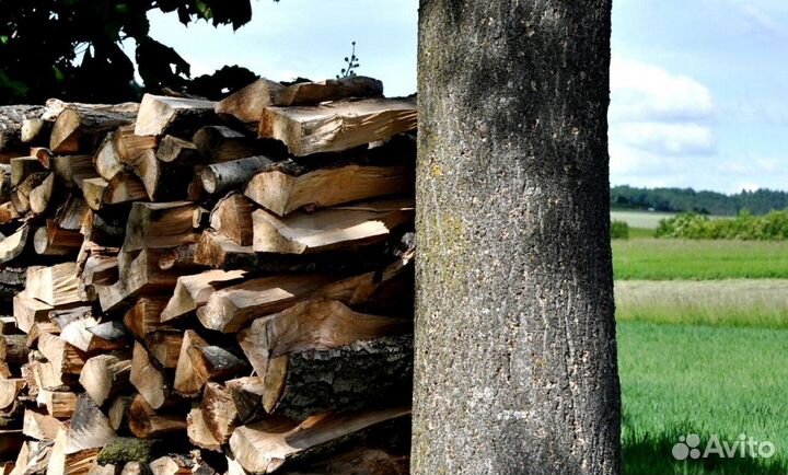 Дрова естесвенной влажности
