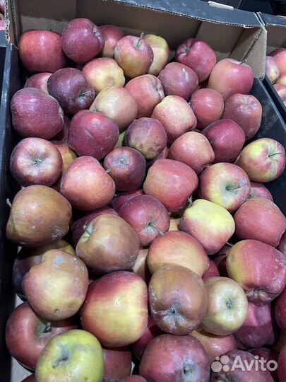 Яблоки оптом