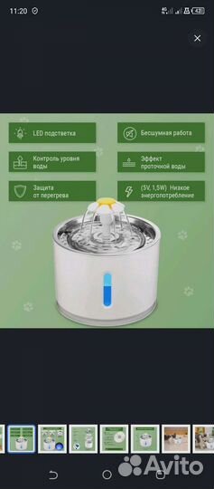 Кошка, собака