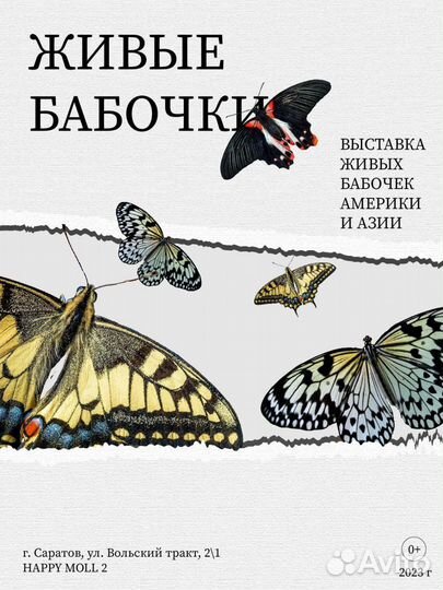 Картины и иллюстрации на заказ