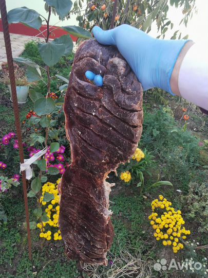 Сушенное вяленное мясо колбаса