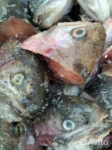 Головы рыбы горбуша,нерка,сёмга