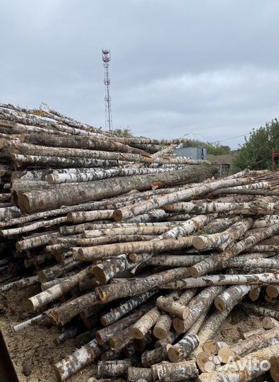 Дрова березовые колотые