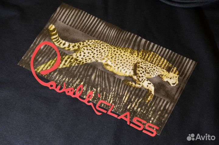 Толстовка Cavalli Class оригинал