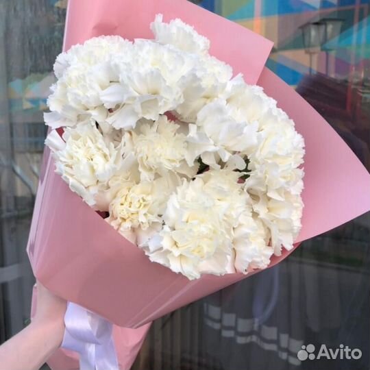 Гвоздика / Доставка цветов