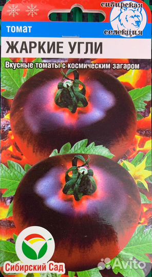 Рассада помидор