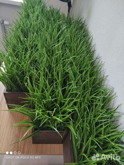Искусственная трава в ящике