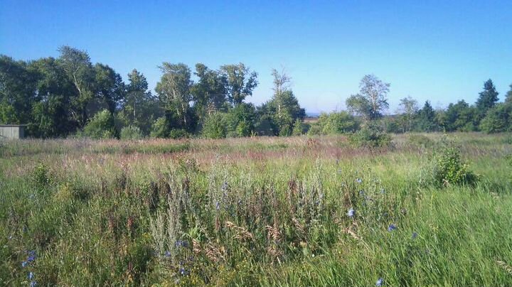 Участок 12 сот. (ИЖС)