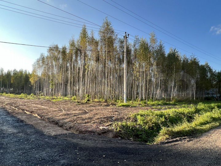 Участок 6 сот. (ИЖС)