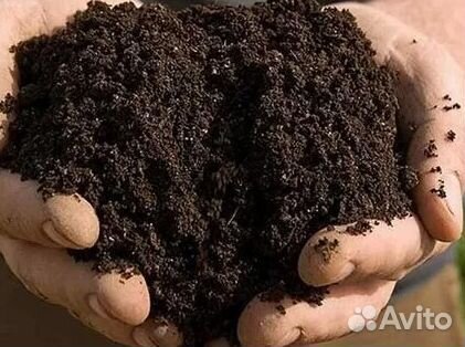 Плодородная земля