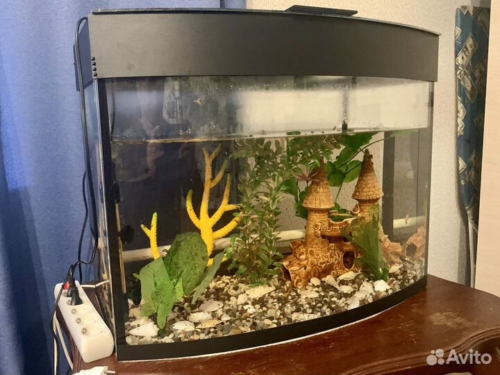 Аквариум 100л с крышкой