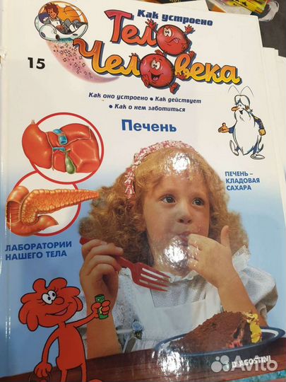 Тело Человека, развивающие книги для детей