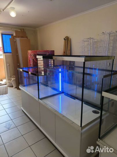 Аквариумный комплекс для торговли раками и рыбой