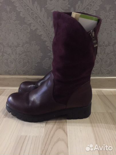 Сапоги осень весна женские