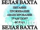 Работник/ца на производство Вахта г. Брянск