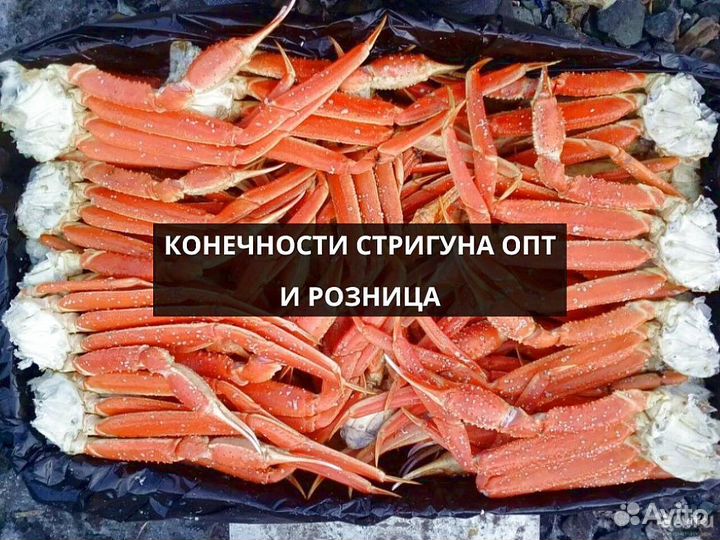 Конечности краба стригуна