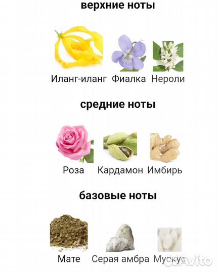 Hfc Black Princess распив 10 мл