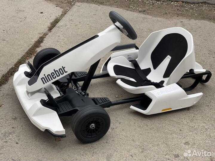 Ninebot go kart + Segway mini