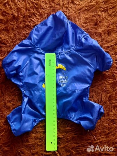 Одежда для маленьких пород