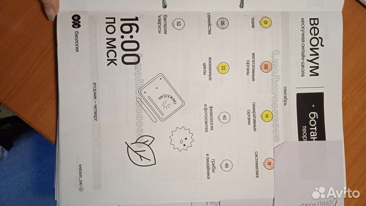 Шпаргалки егэ биология