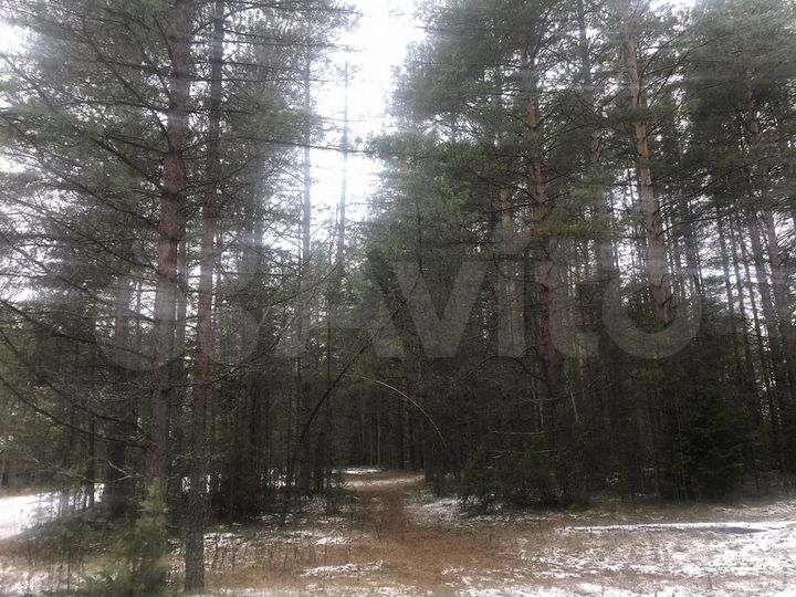 Участок 40 сот. (ИЖС)