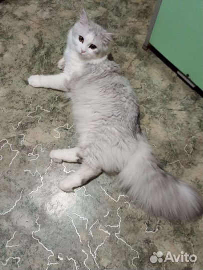 Вязка