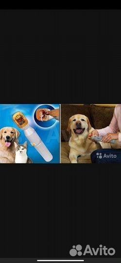 Когтеточка