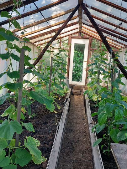 Дача 49 м² на участке 4 сот.