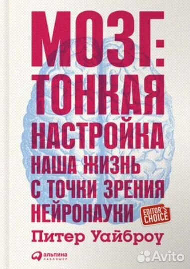 Психология. Мозг. Нлп