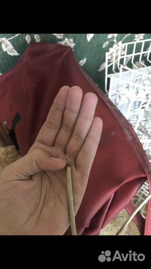 Кабель телевизионный. Коаксиальный кабель