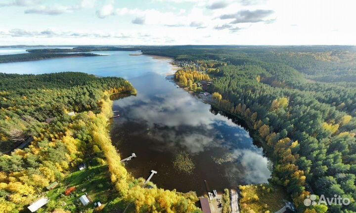 Подарочный сертификат