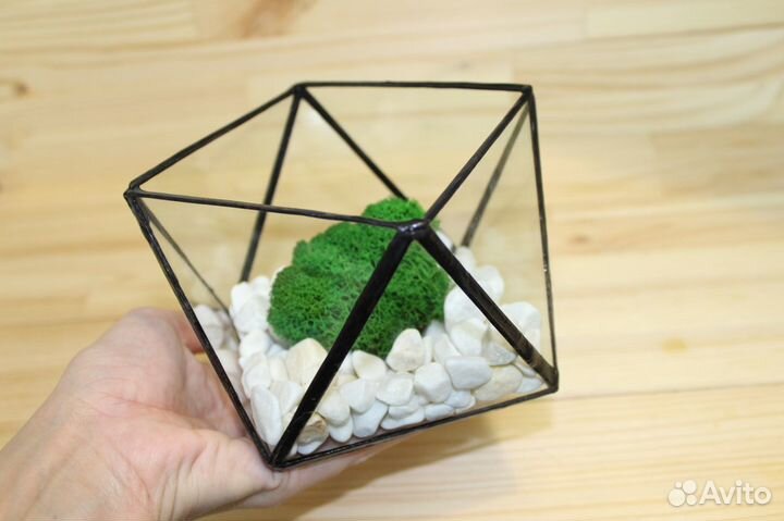 Флорариум. Геометрическая ваза из стекла