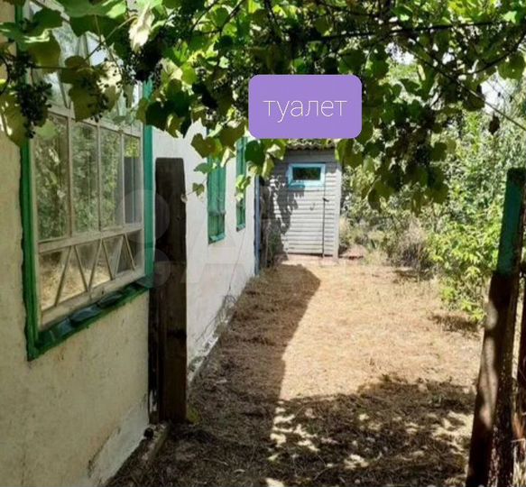 Дом 50 м² на участке 22 сот.