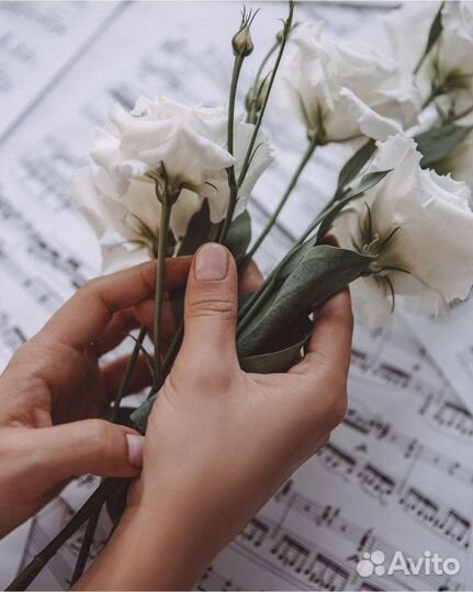 Обучение игре на фортепиано для взрослых / Репетит