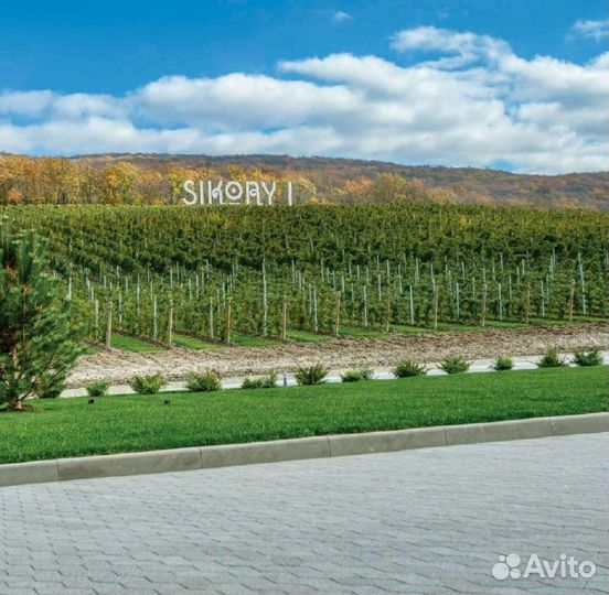 Брусчатка, тротуарная плитка S-формы, все цвета