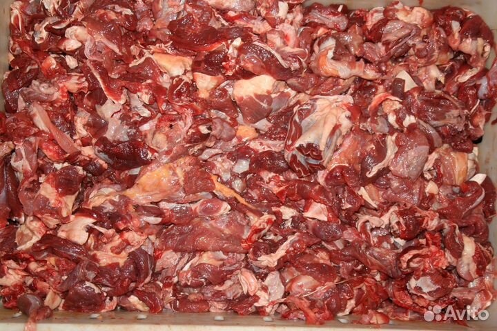 Говяжьи тех.зачистки