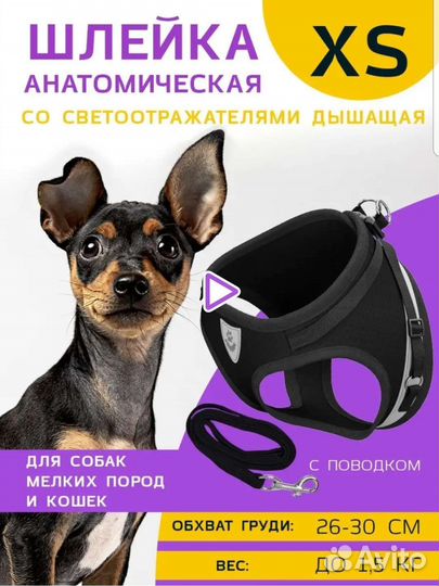 Шлейка для собаки