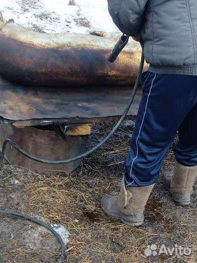 Мясо свинина с лпх