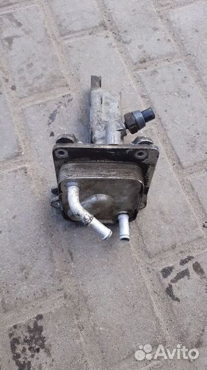 Масляный радиатор Nissan x-trail t31